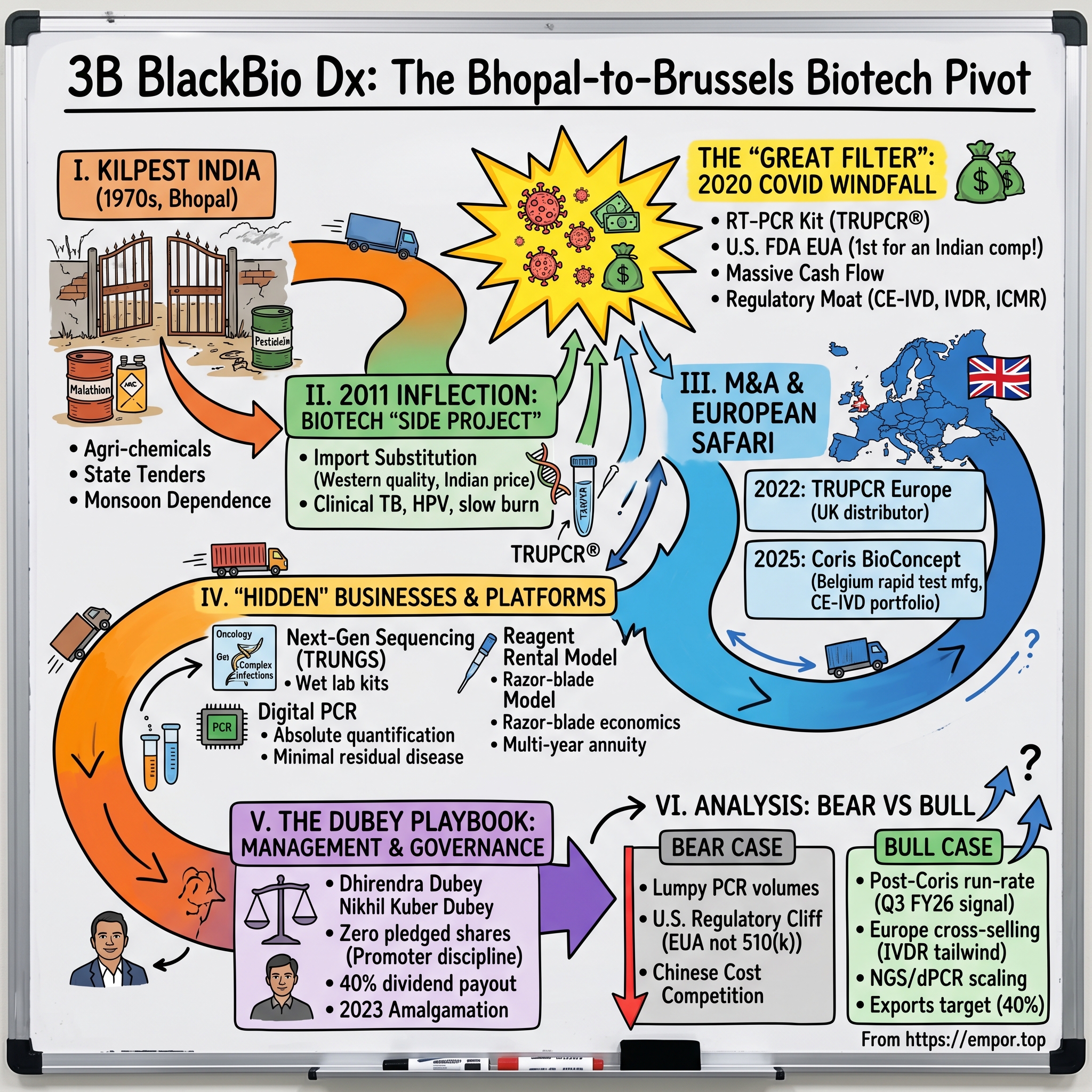 3B BlackBio Dx Ltd visual story map