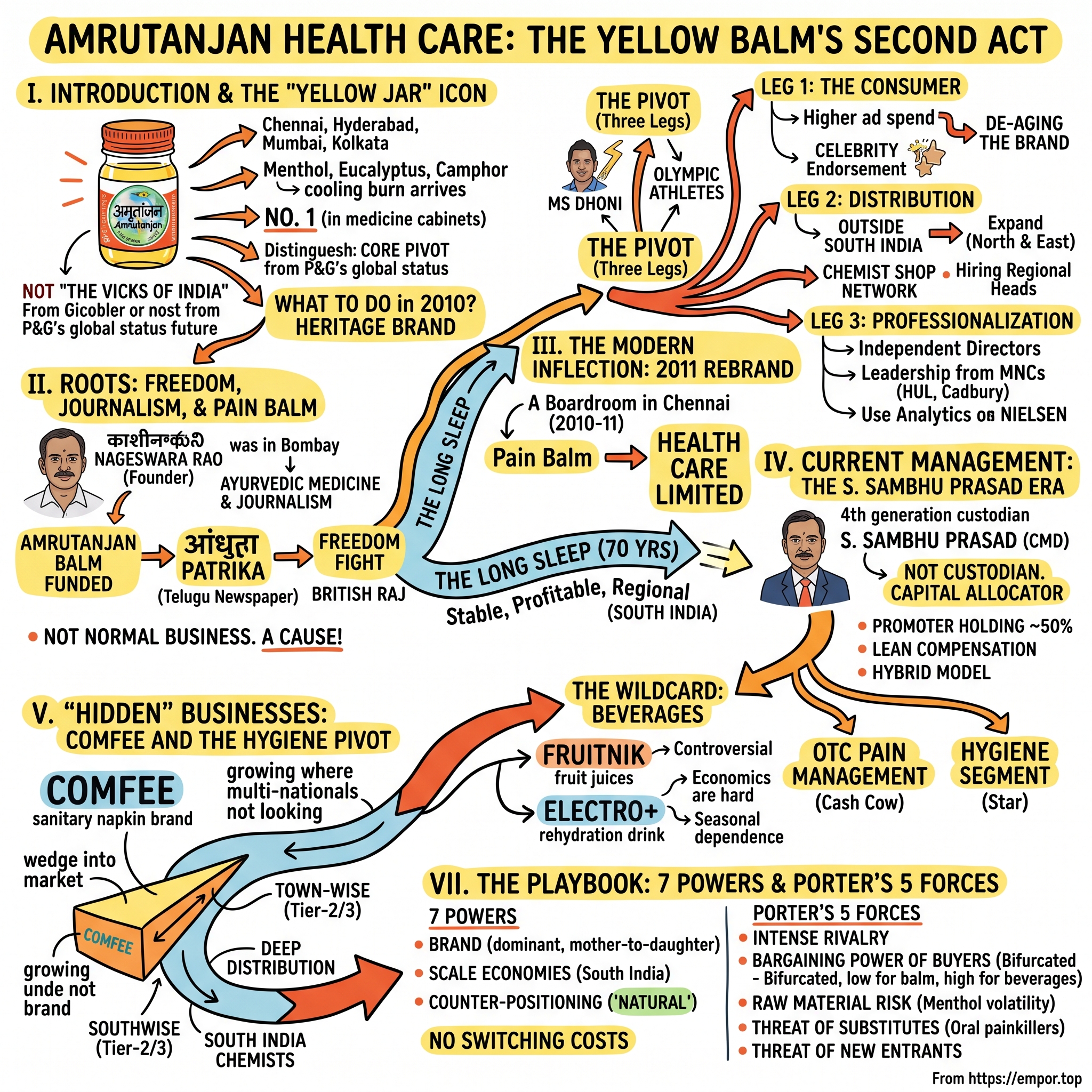 Amrutanjan Health Care Limited visual story map