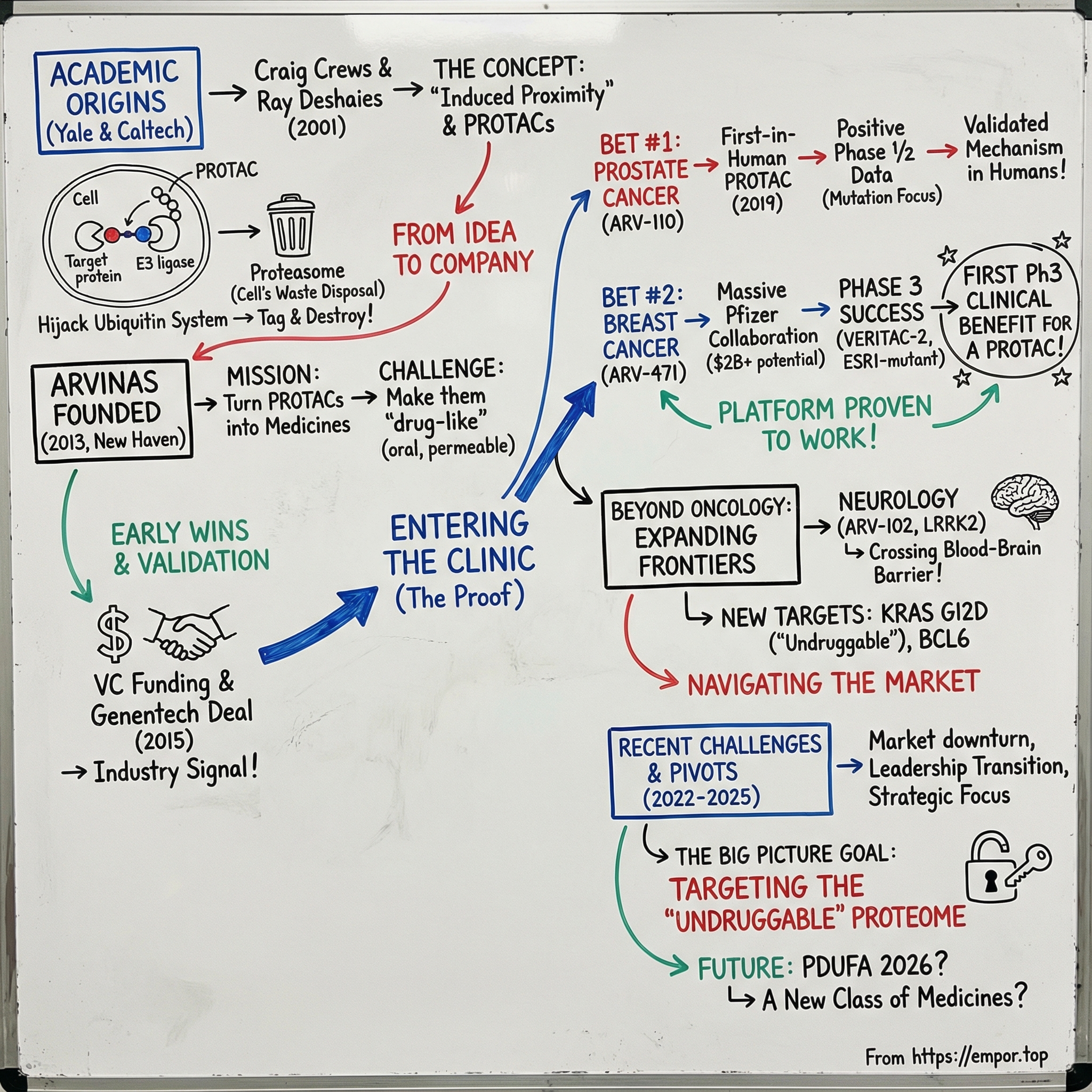 Arvinas visual story map